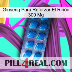 Ginseng Para Reforzar El Riñón 300 Mg viagra1